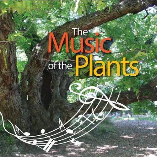 Bamboo M Music of the Plants Device : Amazon.in: Musical Instruments